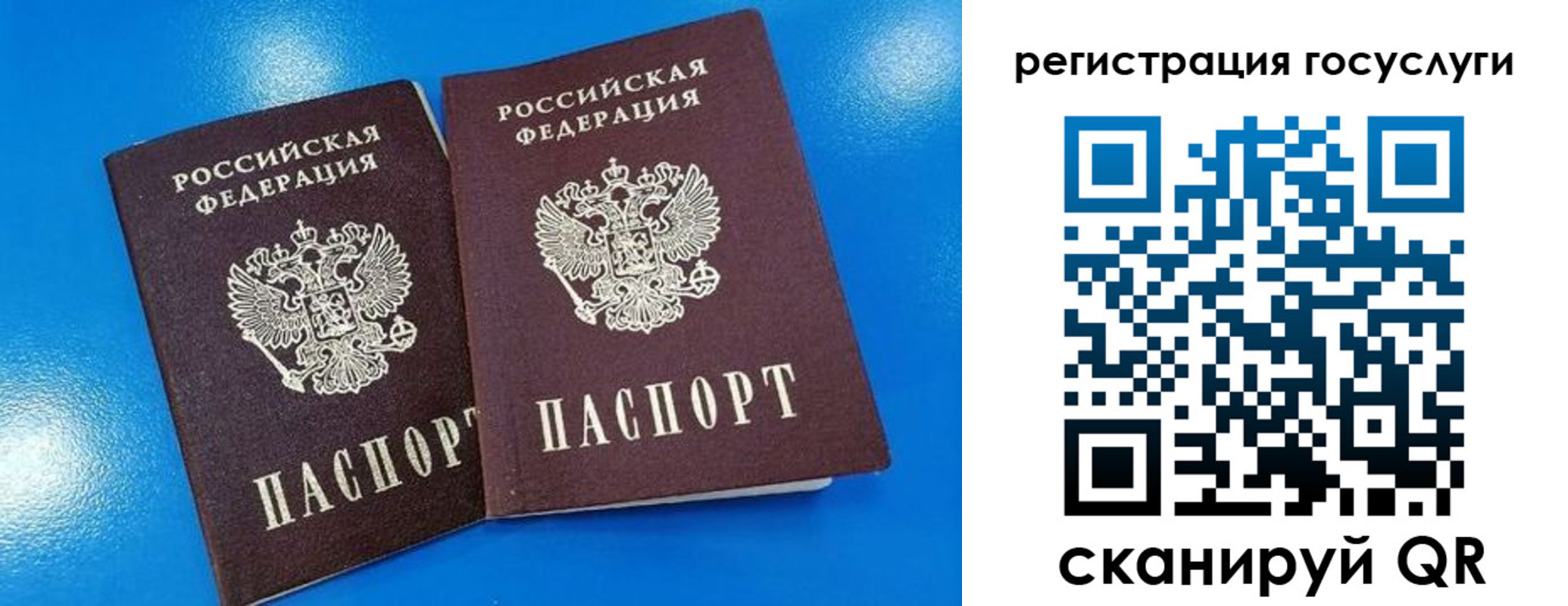 регистрация в Камчатском крае
